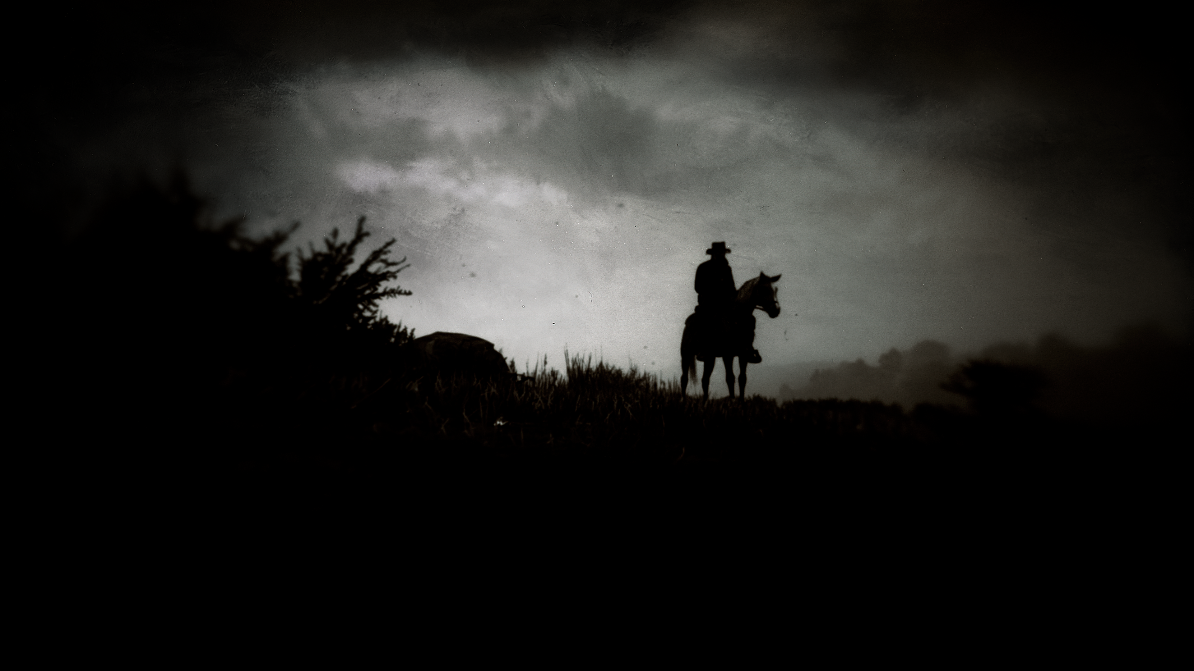 Profile banner